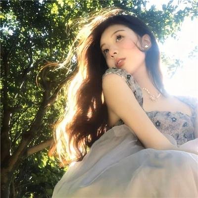 鲨与鲸